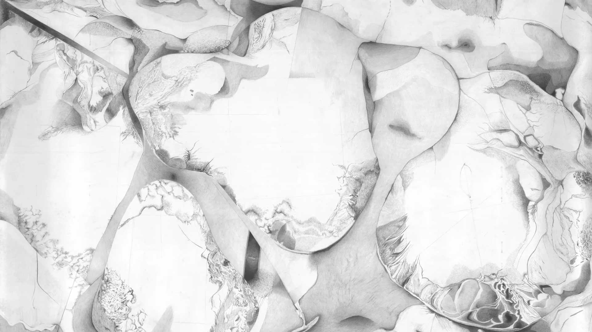A black and white photo of some mushrooms.